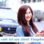 goi-thoai-xa-lang-voi-goi-tra-sau-alo45-vinaphone