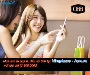 sim-tu-quy-8-dau-dai-phat-088-gia-soc-chi-tu-300k-dong