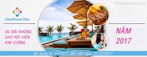 Vinaphone dành tặng hội viên Kim Cương loạt ưu đãi khủng trong năm 2017