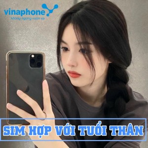 Sim số đẹp hợp với tuổi Thân, người tuổi Thân nên chọn sim như thế nào? 