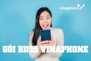 Hướng dẫn đăng ký gói BD25 Vinaphone nhận ưu đãi 2GB và 500 phút chỉ 25k. 