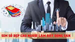 Những lý do người làm bất động sản nên dùng sim số đẹp 