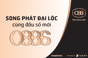 Sim đầu số 0886 của Vinaphone có gì thu hút ? 