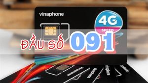 Sim số đẹp Vina 091 có ý nghĩa gì? Hợp với mệnh nào?