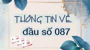 Đầu số 0876 là gì có phải là đầu số điện thoại lừa đảo?