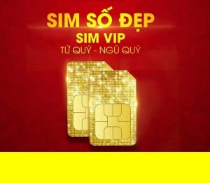 Sim số đẹp VIP Vinaphone bao gồm những dạng nào 