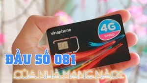 Đầu số 081 mạng gì? Giải đáp chi tiết về đầu số 081 chuẩn nhất