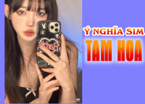 Ý nghĩa sim tam hoa từ 0 đến 9 bạn nên biết