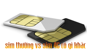 Hướng dẫn phân biệt nhanh sim thường Vinaphone và sim 4G Vinaphone