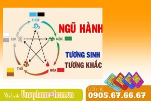 Hướng dẫn tính Ngũ Hành sim số bạn nên biết